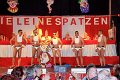 Leinespatzen   128